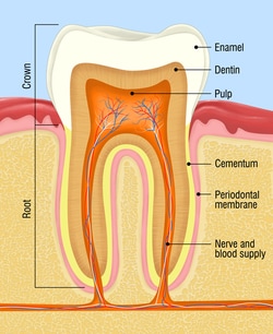 Tooth structure
